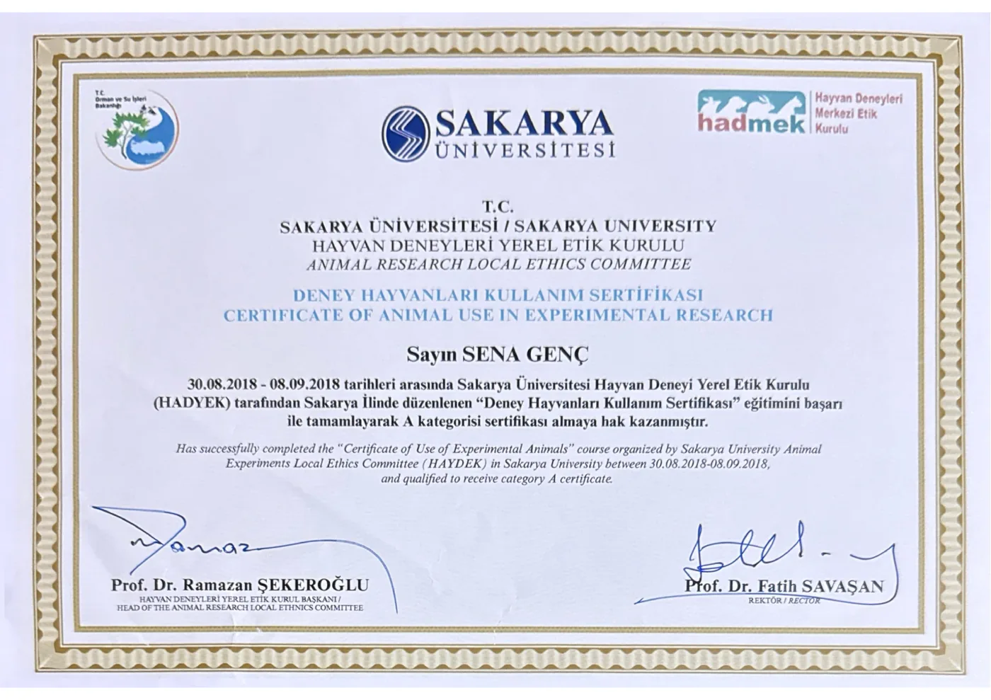 Deney Hayvanları Kullanım Sertifikası (A Kategorisi) — Op. Dr. Sena Genç Elden
